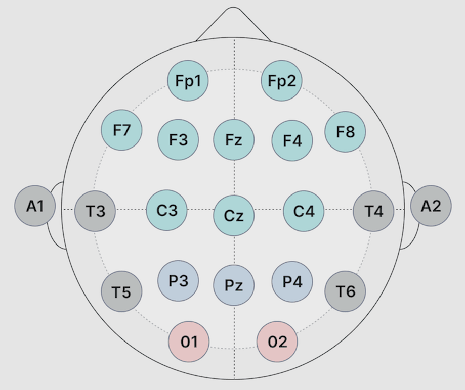 Understanding the 10-20 System of EEG Electrode Placement – EMOTIV