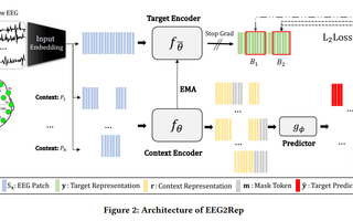 EEG2Rep: A Self-supervised AI Architecture for EEG Data Modeling