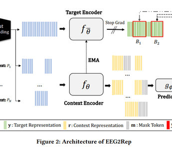 EEG2Rep: A Self-supervised AI Architecture for EEG Data Modeling