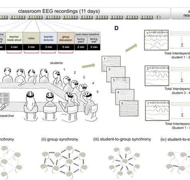 Brain-to-Brain Synchrony Tracks Real-World Dynamic Group Interactions in the Classroom - EMOTIV